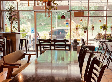 Anthony Vegetarian Restaurant