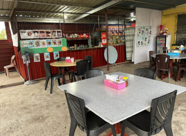 Vegetarian House 素食之家