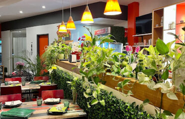 Healthy Thai Vegan & Vegetarian Cuisine