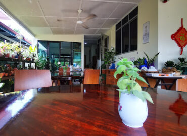 绿圆 healthy vegetarian