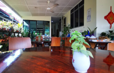 绿圆 healthy vegetarian