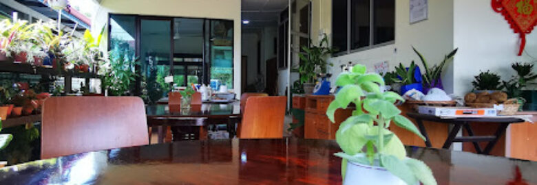 绿圆 healthy vegetarian