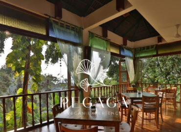 Pegaga Langkawi Vegan Experience