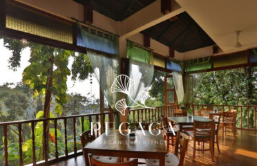 Pegaga Langkawi Vegan Experience