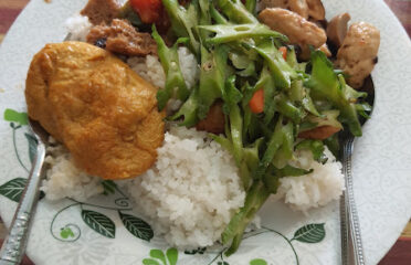 ZL Vegetarian Restaurant