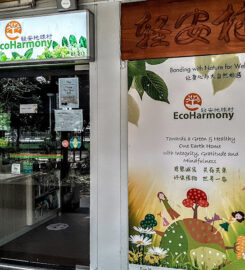 Eco-Harmony Cafe
