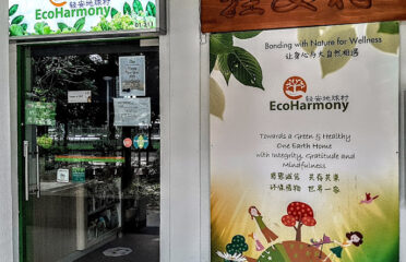 Eco-Harmony Cafe