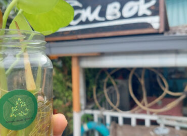 Ombok Cherating Surf Cafe