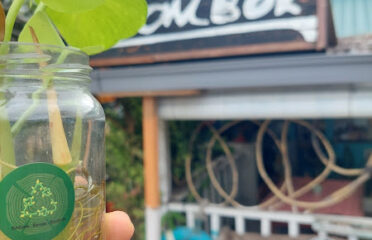 Ombok Cherating Surf Cafe
