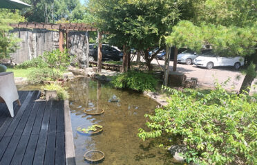 夢想成真養生蔬食