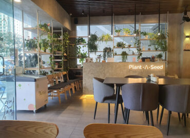 Plant A Seed Vegan